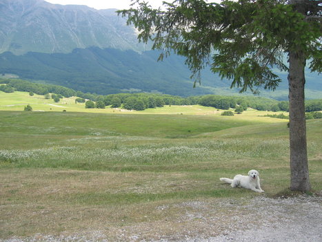Abruzzo - Terra dei Parchi.