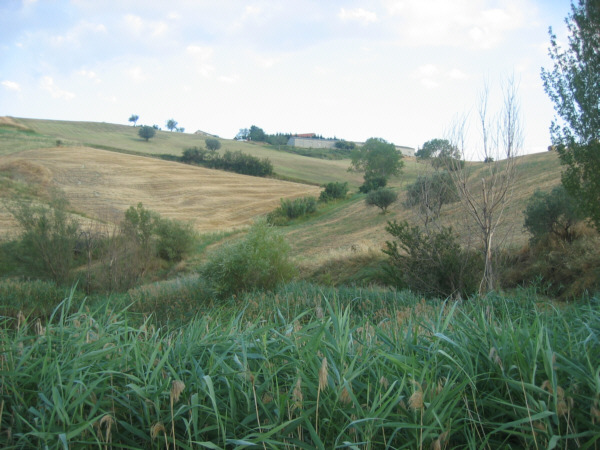 M.S.Finlandia - Agriturismo Ripalta vista dal laghetto aziendale.