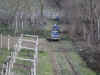 1Febbraio.jpg (955897 byte)